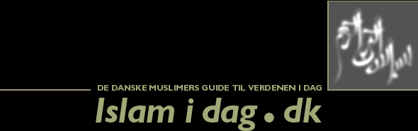 Islam i Dag: de danske muslimers guide til verdenen i dag